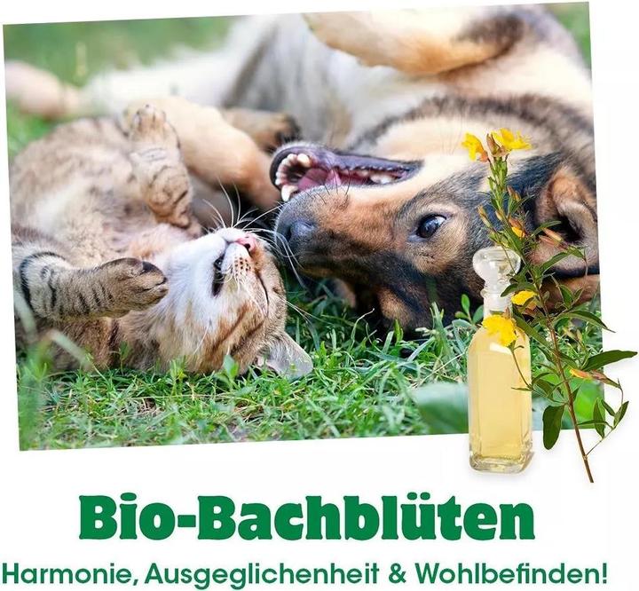 Produktbild cdVet Hunde-Nahrungsergänzung Bio-Bachblüten, S.O.S, 20 ml (Senior, Adult, 1 Stk., 60 g)