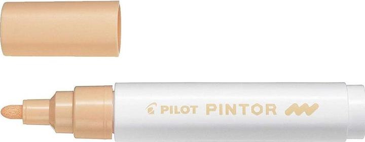 Actual product image Pilot Pintor Medium pastel (1 x)