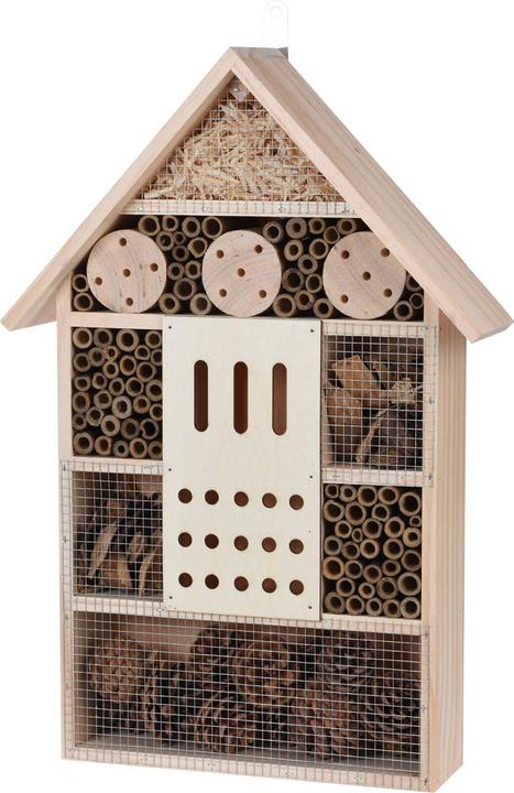 ProGarden Sutton (Wild bees, Ladybirds)