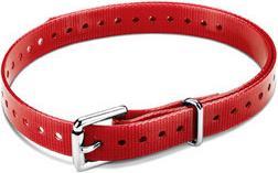 Produktbild Garmin Square Buckle Collar Strap (3, Hund, Allgemein)