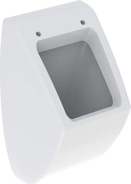 Actual product image Geberit Keramag Pareo Urinal inlet from rear 236100