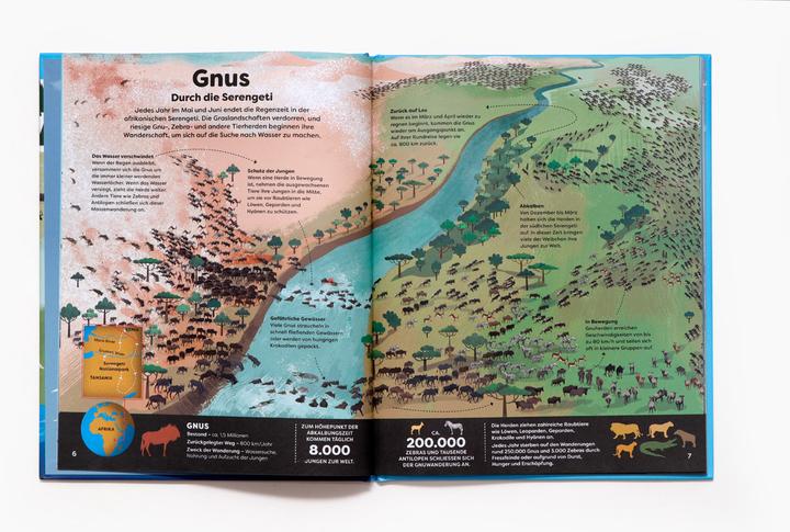 Actual product image Animals around you (German, 2 Players)