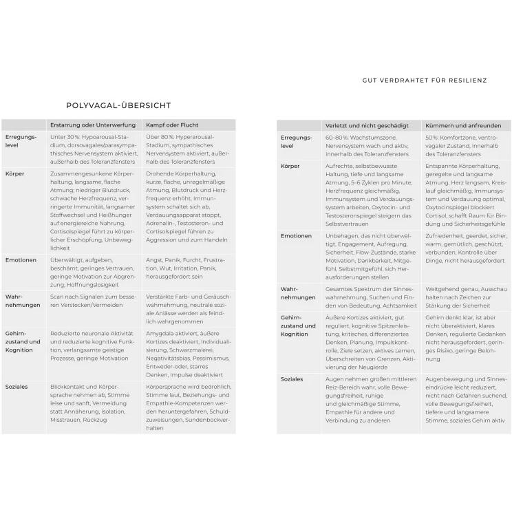 Thumbnail - Trauma Tools, Ratgeber von Christopher Willard