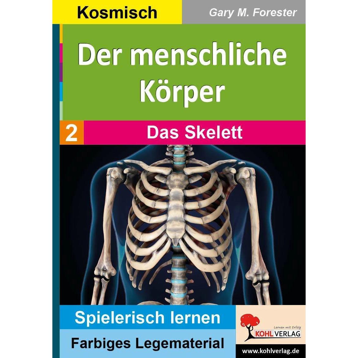 Der menschliche Körper / Band 2: Das Skelett, Schulbücher von Gary M. Forester