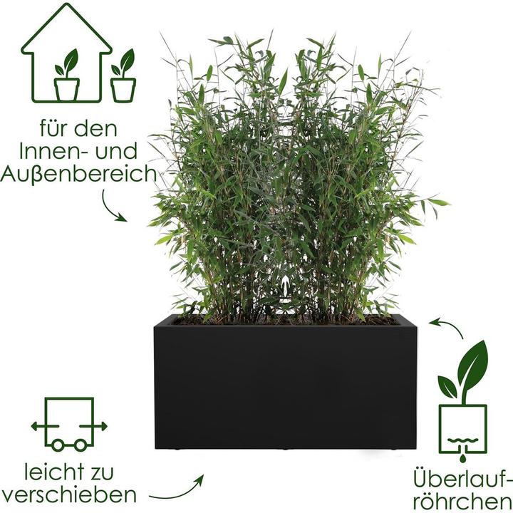 Actual product image Elho Vivo Next Lang (60 x 30 x 29 cm)