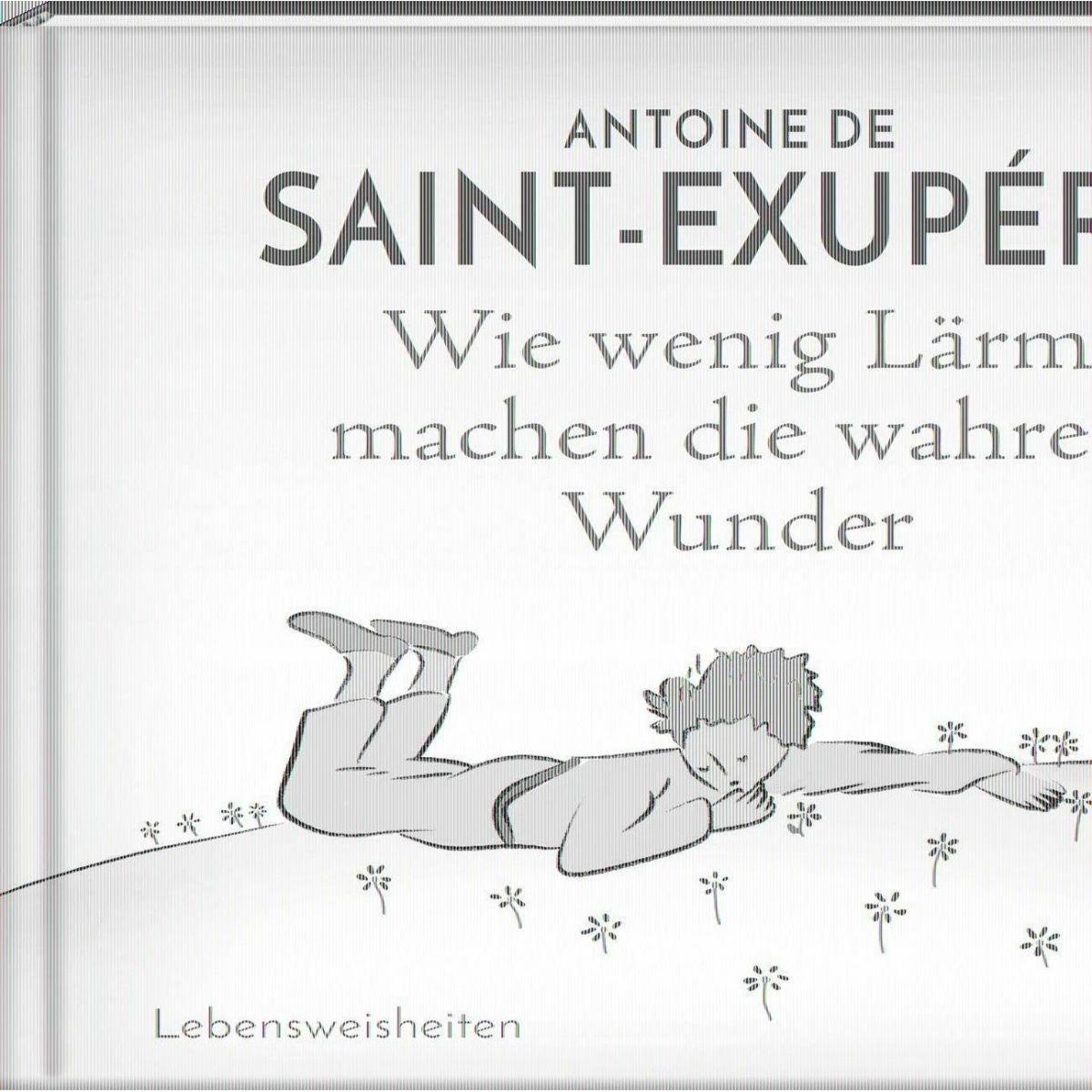 Thumbnail - Wie wenig Lärm machen die wahren Wunder, Belletristik von Antoine de Saint Exupéry