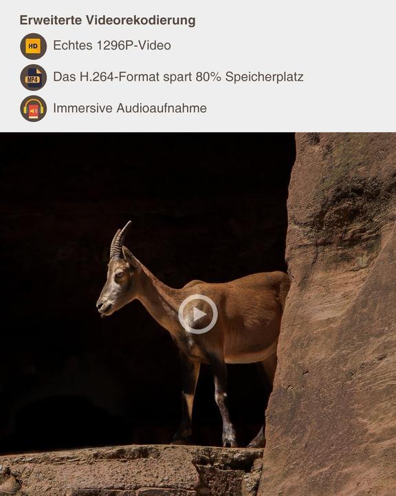 Actual product image GardePro A5 Wildlife Camera