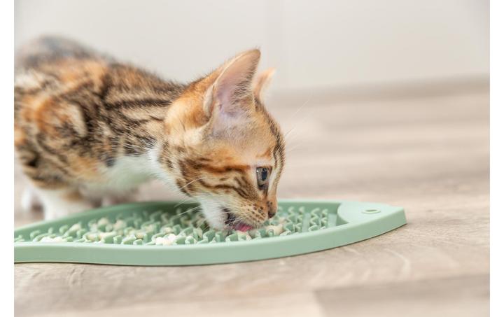 Produktbild Trixie Lick'n'Snack Platte