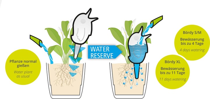 Image du produit Scheurich Bördy XL (Cône d'argile Irrigation)