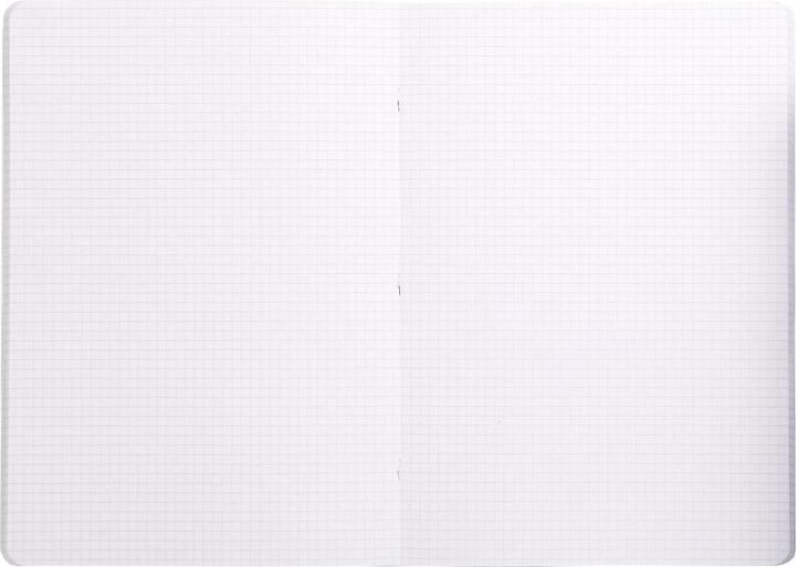 Produktbild Clairefontaine Mimesys (Kariert, Harter Einband)