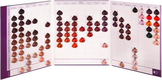 Image du produit Basler Color 2002+ nuancier