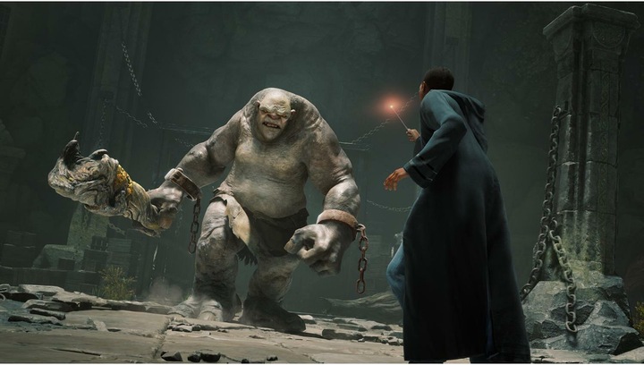 Produktbild WB Hogwarts Legacy (PS5, DE, FR)