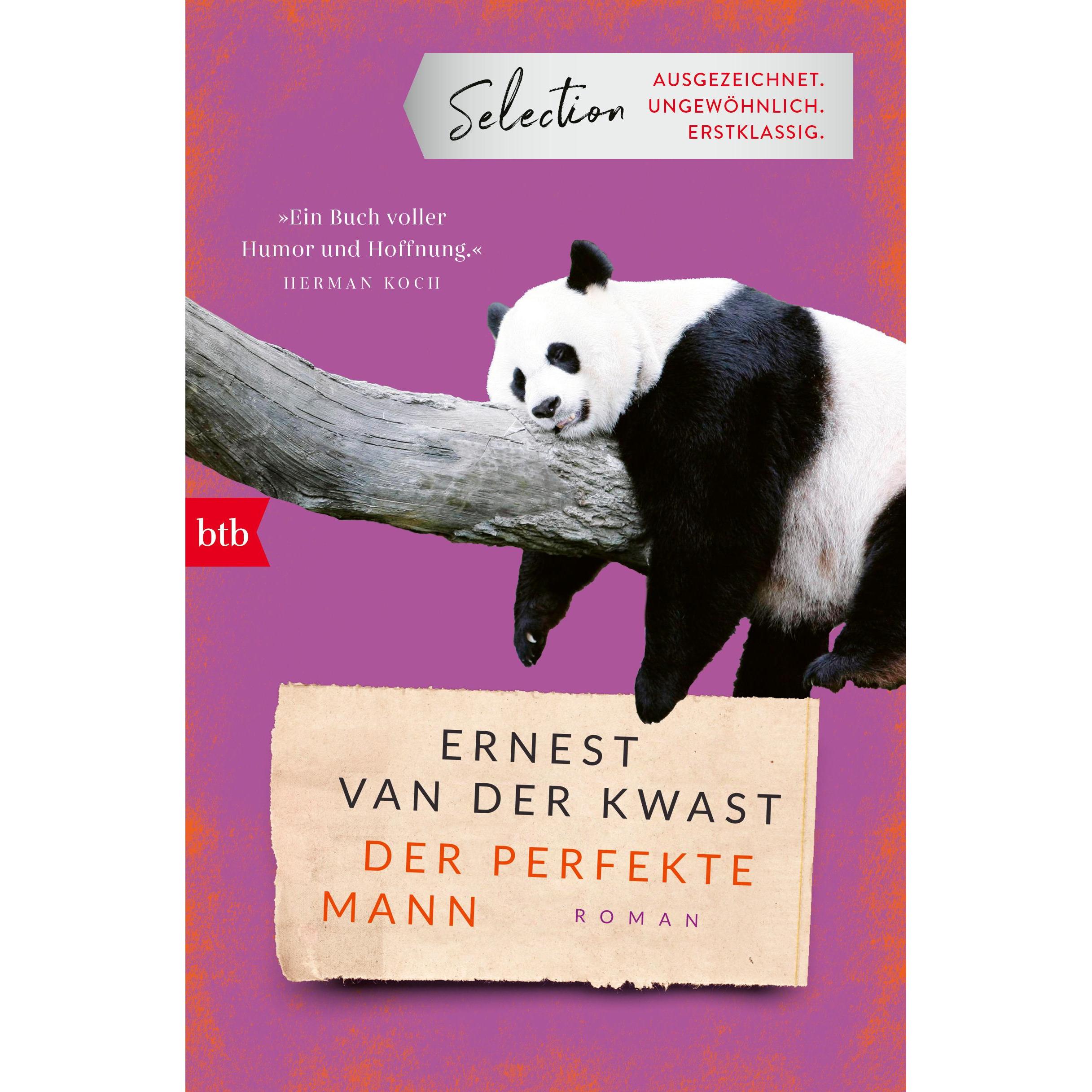 Der perfekte Mann, Belletristik von Ernest van der Kwast