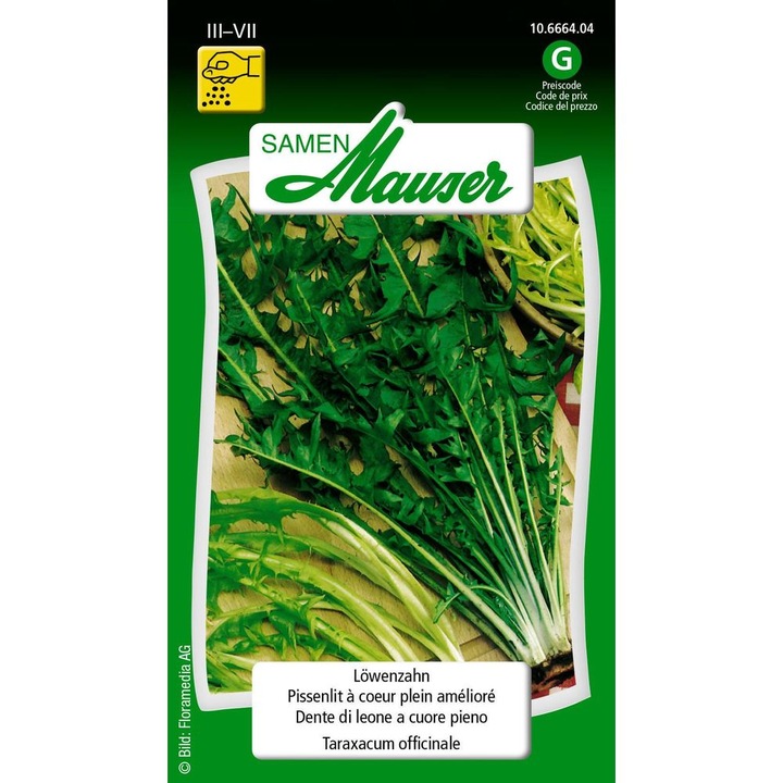 Image du produit Samen Mauser Pissenlit (Graines de légumes)