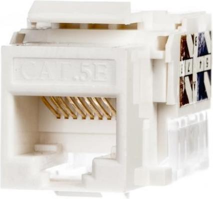 Netrack 105-02 Keystone-Modul (Keystone Modul)