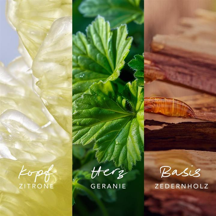 Actual product image Mexx INSPIRED MAN Nature EDP 50 ml (Eau de parfum, 50 ml)