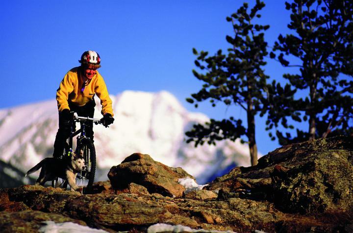 Actual product image kwb Mini multifunction tool, 8 pcs, 102 mm (8 Functions)