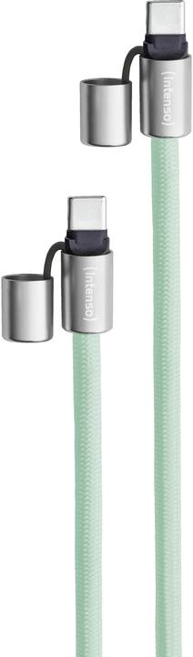 Image du produit Intenso Handykette als Lade- + Datenkabel USB-C bis 1,65m grün (1.65 m, USB 2.0, 60 W)