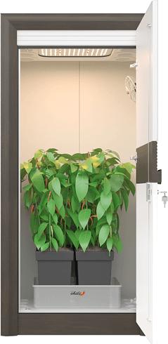 Immagine prodotto Urban Chili Set completo di grow box 3.0 LED