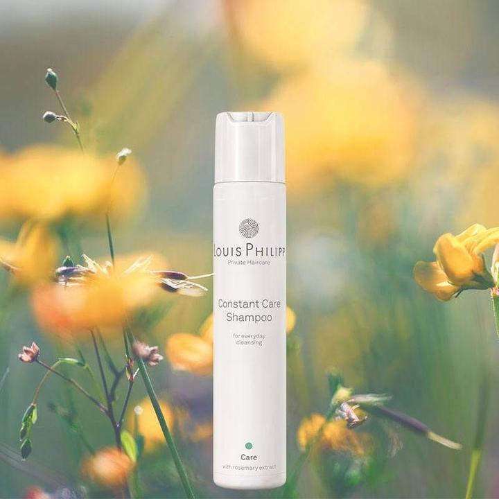Produktbild Louis Philipp Constant Care Shampoo (60 ml, Flüssiges Shampoo)