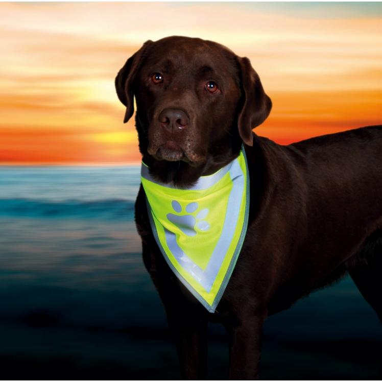 Thumbnail - Trixie Safer Life Halstuch (S, M, Hundehalstuch), Hundebekleidung