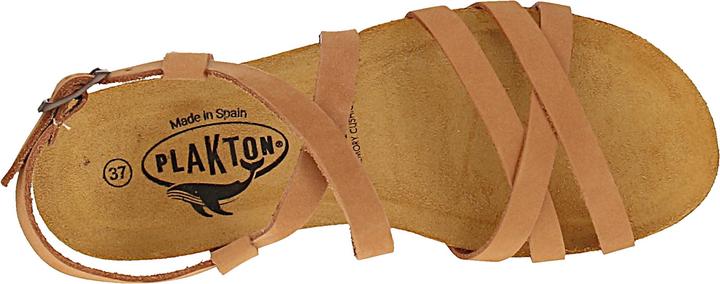 Image du produit Plakton Fran Vali (39)