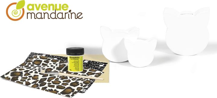 Actual product image My Mandarine Creative boxes