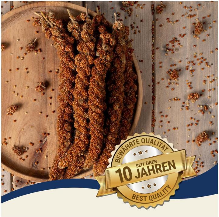 Produktbild Lyra Pet Kolbenhirse (1 x, 1 kg)