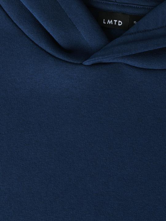 Actual product image Lmtd Regular Fit Hoodie (146, 152)