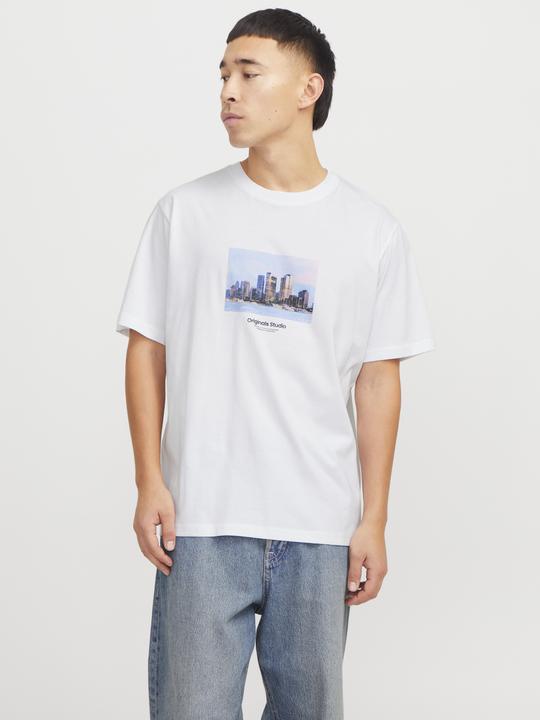 Actual product image Jack & Jones Jorvesterbro Picture Tee Ss Crew Neck Sn (M)