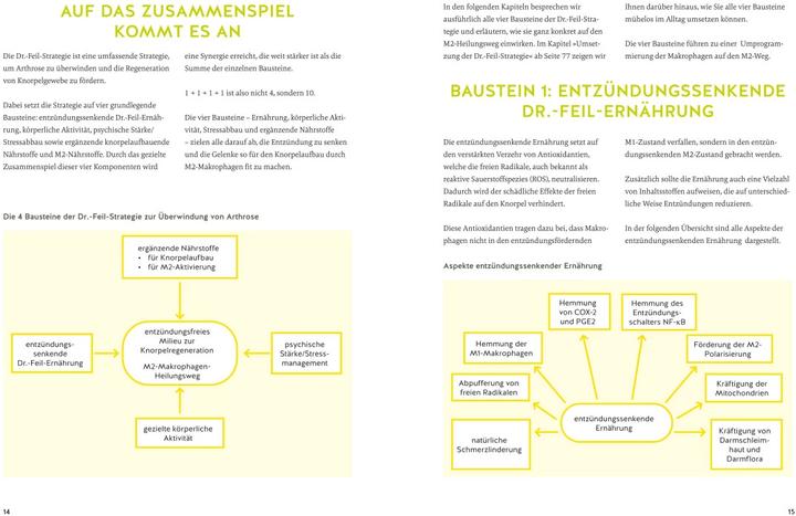 Actual product image Arthrose endlich heilen (German, Wolfgang Féile, Tobias Homburg, 2024)