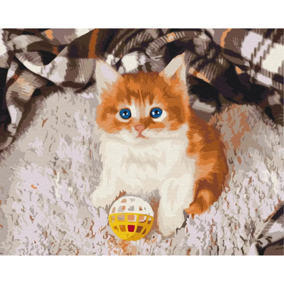 Syma Picture Paint it - Amused kitten