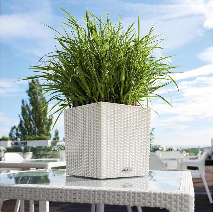 Produktbild Lechuza Cube Cottage 30 (29 x 29 x 30 cm)