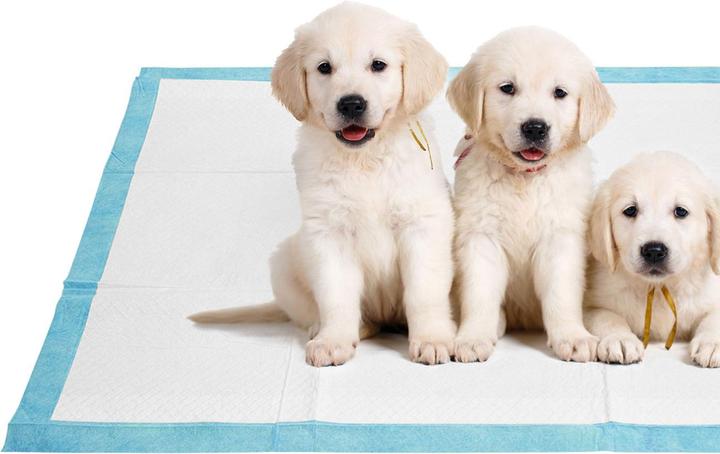 Actual product image Ideoon Trainingspads 600 Stück für Hunde, Welpenunterlage, 5-lagig, auslaufsicher, 60 x 60 cm (Dog)