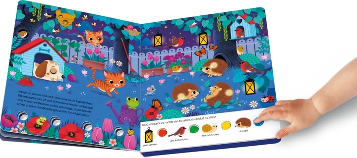 Image du produit Ravensburger Mon grand livre caché de lumières : Dans la nuit (Allemand)