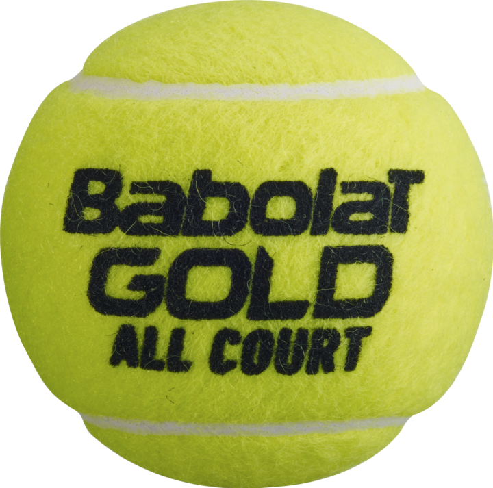 Immagine prodotto Babolat All Court X4