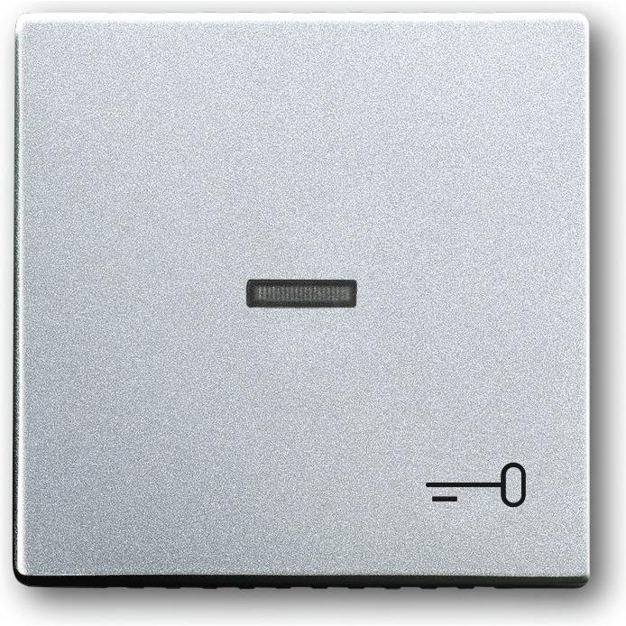 Busch-Jaeger, Zubehör Schalterprogramm, Wippe mit Aufdruck mit kleiner 2CKA001751A2953