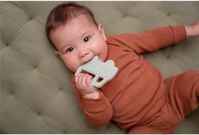 Actual product image Little Dutch Silicone bite ring bus