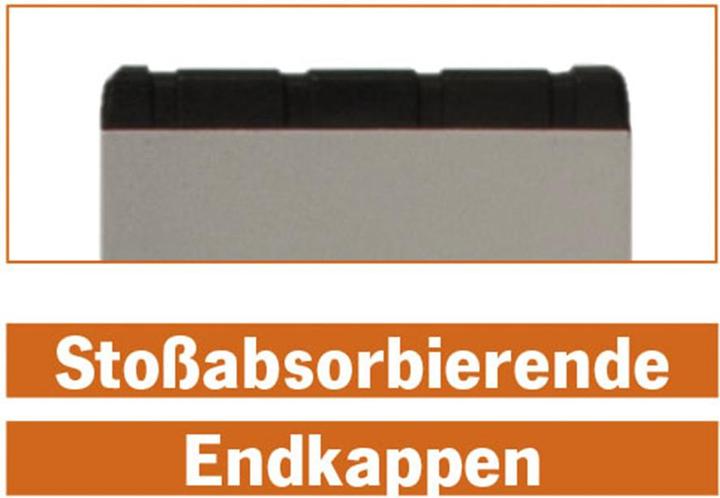 Actual product image Projahn Wasserwaage Standard 100 cm (5 cm)