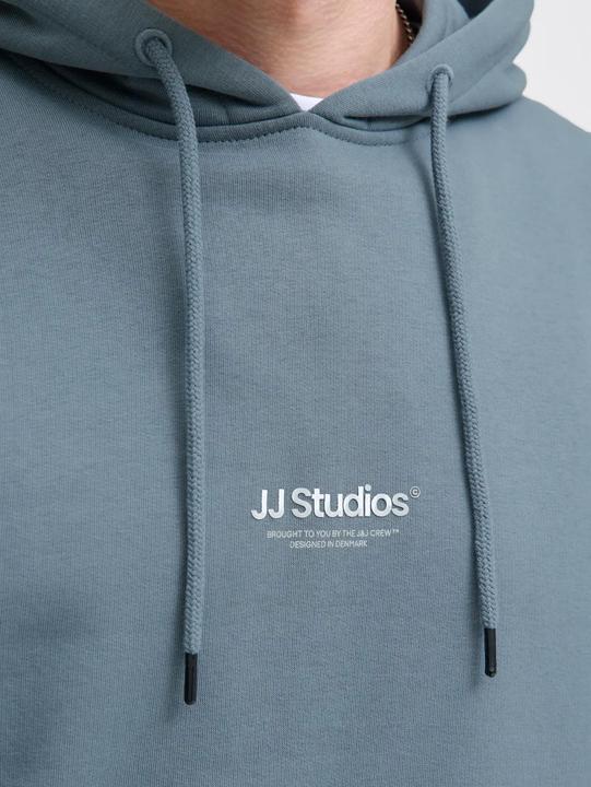 Produktbild Jack & Jones Jjesoho Sweat Hood Noos (3XL)