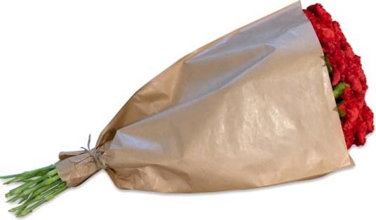 Fleurop Rote Nelken im Bund (Schnittblumen)