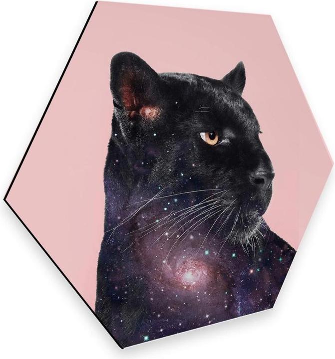 Produktbild Trenddeko Galaxy Panther (35 x 30 cm)