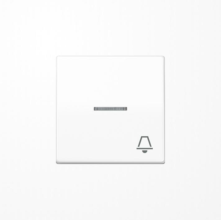 Actual product image JUNG Rocker