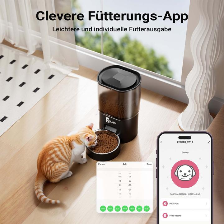 Actual product image Wiltec Fudajo (3 l)