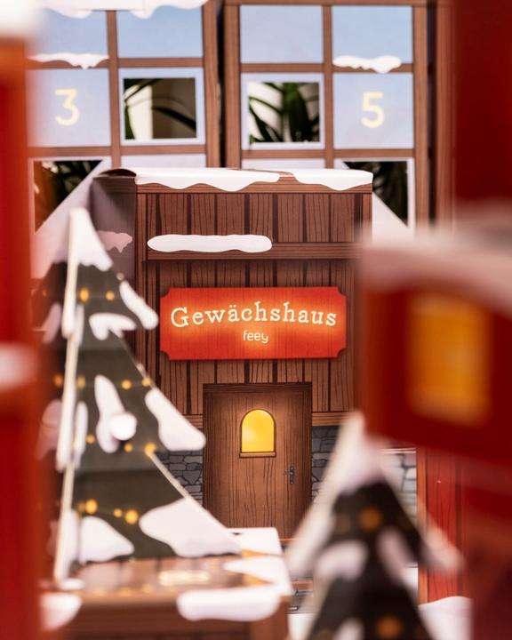 Actual product image feey Pflanzen Adventskalender (60 cm)