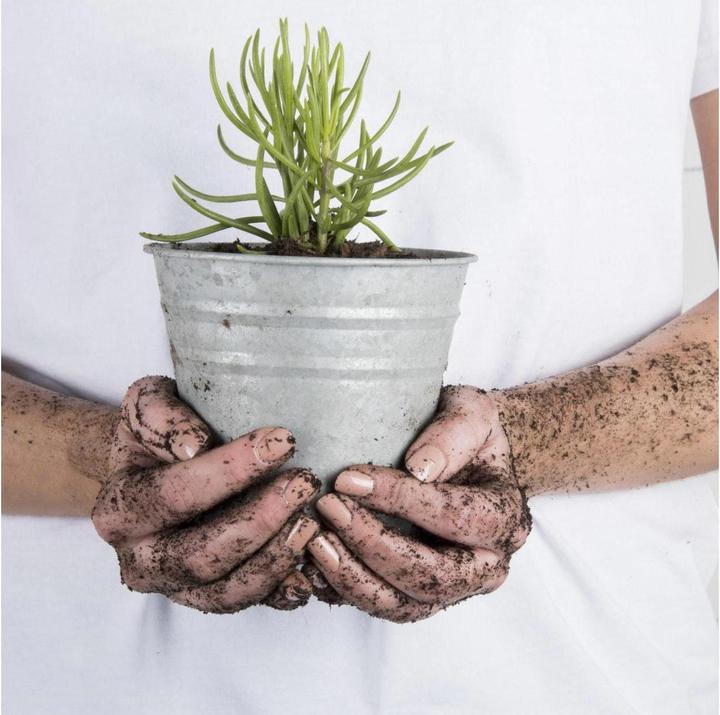 Produktbild Esschert Design Eimer (14.40 x 14.40 x 13.10 cm)