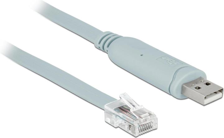 Delock Cavo da console USB a RJ-45 (1 m)