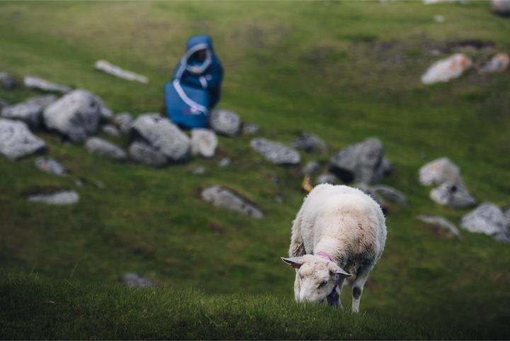 Actual product image Grüezi Bag Biopod DownWool Hybrid Cotton Comfort (200 cm)