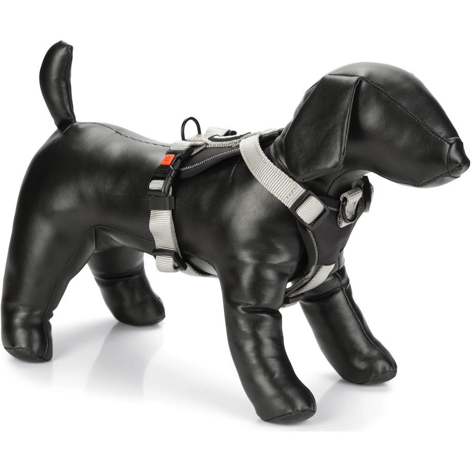 Karlie Art Sportiv Premium Y-Geschirr (Hund, Allgemein), Halsband + Leine