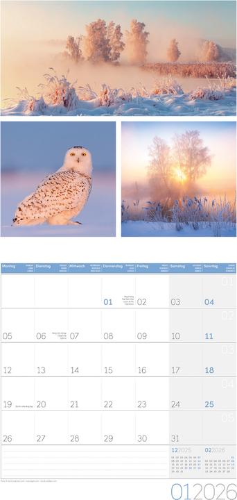Image du produit Colours of Nature Kalender 2026 - 30x30 (30 x 30 cm, Couverture rigide, Français, Anglais, Italien)